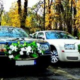 Аренда шикарного авто стала ещё дешевле!